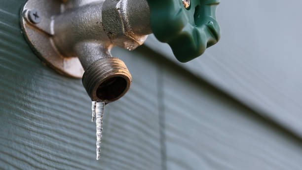 Best Water Heater Repair  in Laguna Heights, TX